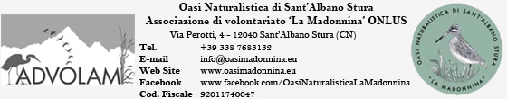 oasi madonnina