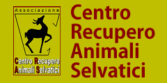 Centro Recupero Animali Selvatici