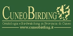 CuneoBirding